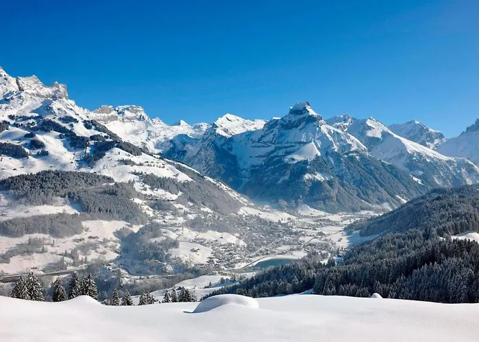 Hotel Alpenstrasse 4 By Interhome Engelberg